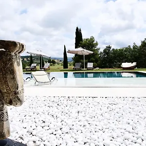 Dojo Bianco Massa Marittima